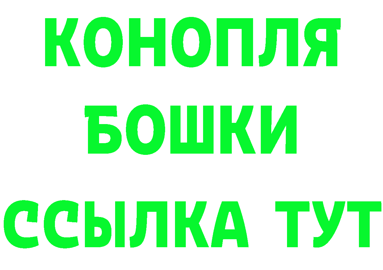 Alfa_PVP СК КРИС вход площадка мега Барыш